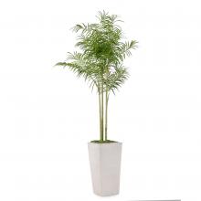 John-Richard JRB-4659 - West Coast Palm Botanical, Green, White Planter, 54&34;W JRB-4659