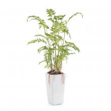 John-Richard JRB-4661 - Woodland Fern Botanical, Green, White Planter, 34&34;W JRB-4661