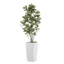 John-Richard JRB-4664 - Gray White Fig Botanical, Green, White Planter, 51&34;W JRB-4664