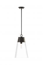 ECOM Only 2300P12-MB - 1 Light Pendant