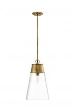 ECOM Only 2300P12-RB - 1 Light Pendant