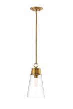 ECOM Only 2300P8-RB - 1 Light Pendant