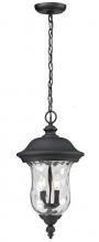 ECOM Only 533CHM-BK - 2 Light Outdoor Chain Mount Ceiling Fixture