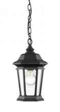 ECOM Only 540CHM-BK - 1 Light Outdoor Chain Mount Ceiling Fixture