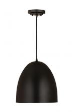 ECOM Only 6012P12-SBK - 1 Light Pendant