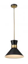 ECOM Only 728P13-MB-HBR - 1 Light Pendant