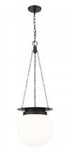 ECOM Only 7505P13-MB - 1 Light Pendant