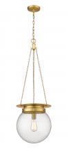 ECOM Only 7506P13-HBR - 1 Light Pendant