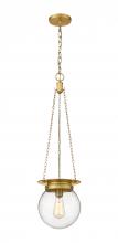 ECOM Only 7506P9-HBR - 1 Light Pendant