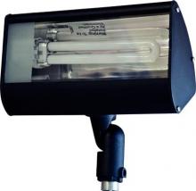 Dabmar DF5970-B - FLOOD LIGHT 13W PL13 120V