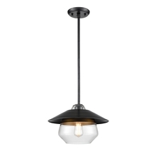 DVI DVP42310MF+GR-CL - Chevalier 12 Inch Pendant