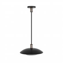 Arteriors Home DSI03 - Tobias Pendant