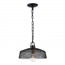 ZEEV Lighting P30066-1-DBZ - 1-Light 13" Metal Shade Pendant