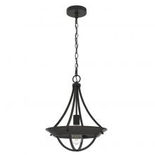 Hunter 19418 - Hunter Perch Point Noble Bronze 1 Light Medium Pendant Ceiling Light Fixture