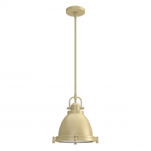 Hunter 19108 - Bridgemoor 1 Light Pendant