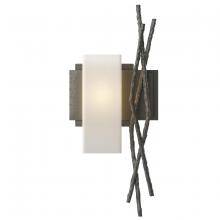 Hubbardton Forge 207670-SKT-LFT-20-GG0351 - Brindille Sconce