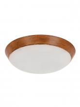 Beacon Lighting America 21101401 - Lucci Air Type A Koa LED Light