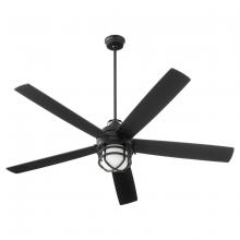 Ceiling Fans