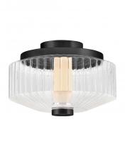 Fredrick Ramond FR41463BK - Small LED Flush Mount